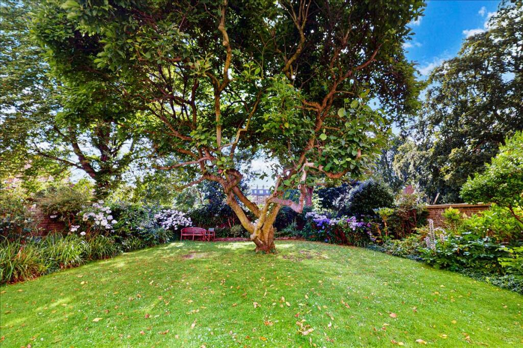 86681_SHP002A55_IMG_12_0000